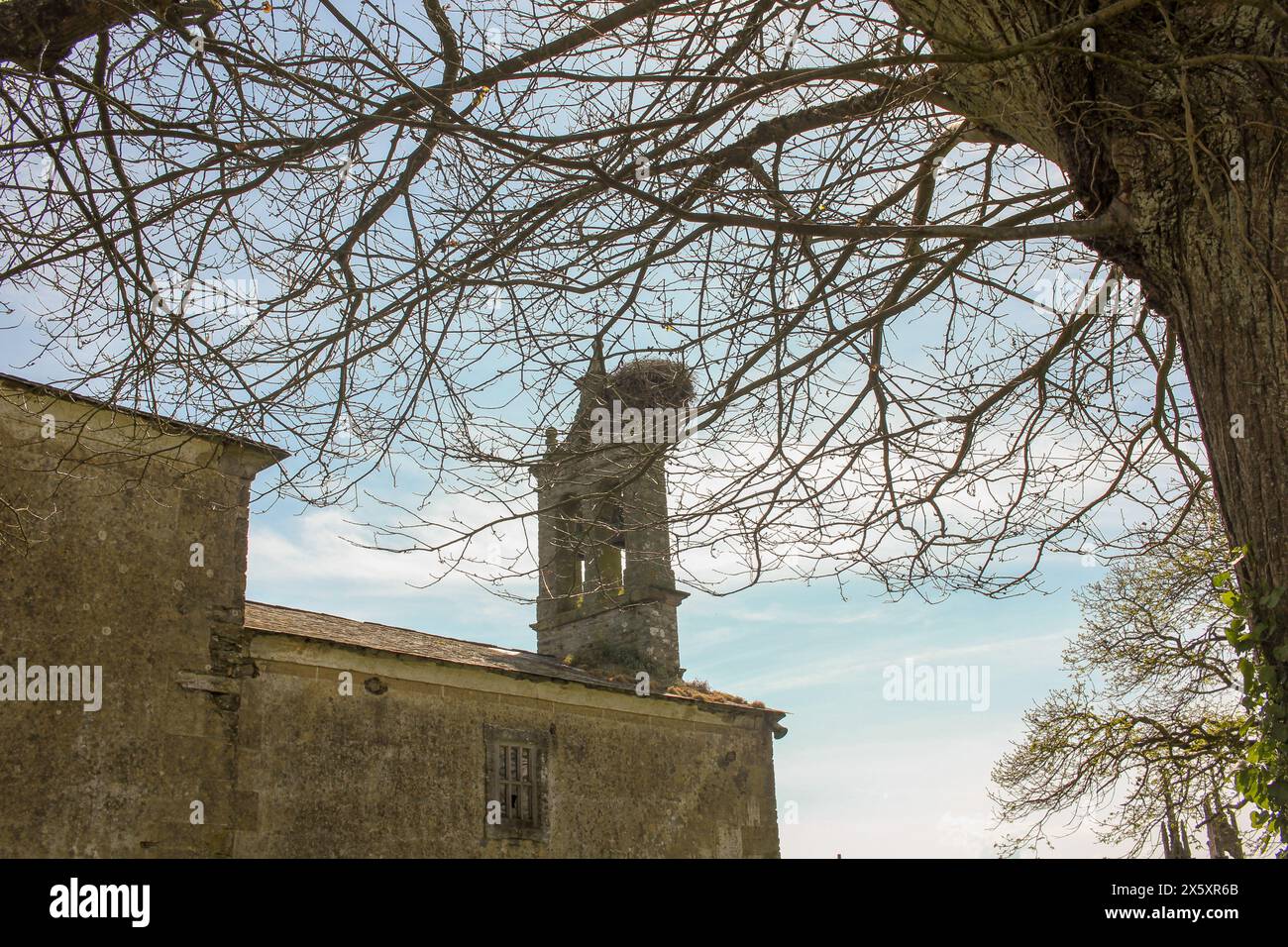 Nido di cicogna in un campanile di una piccola chiesa in Galizia, Spagna Foto Stock