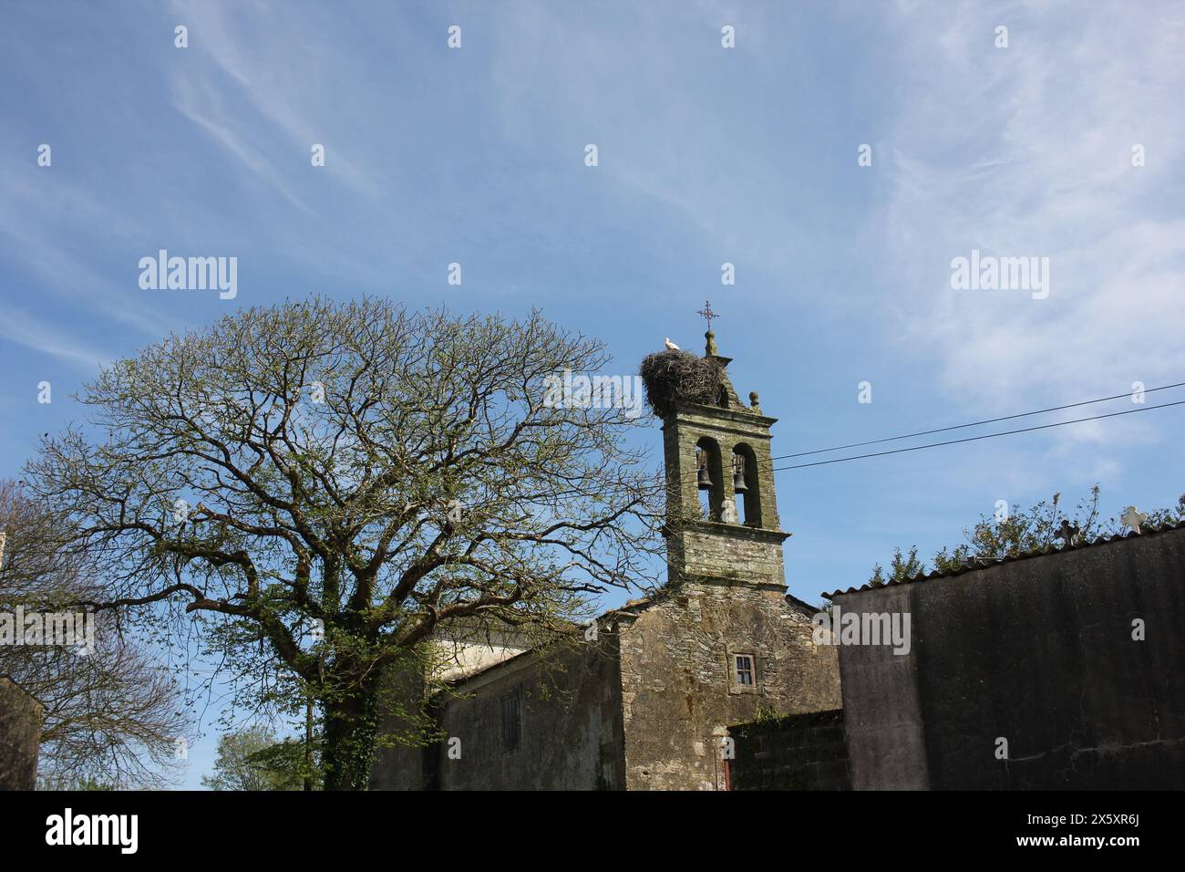 Nido di cicogna in un campanile in Galizia, Spagna, in primavera Foto Stock