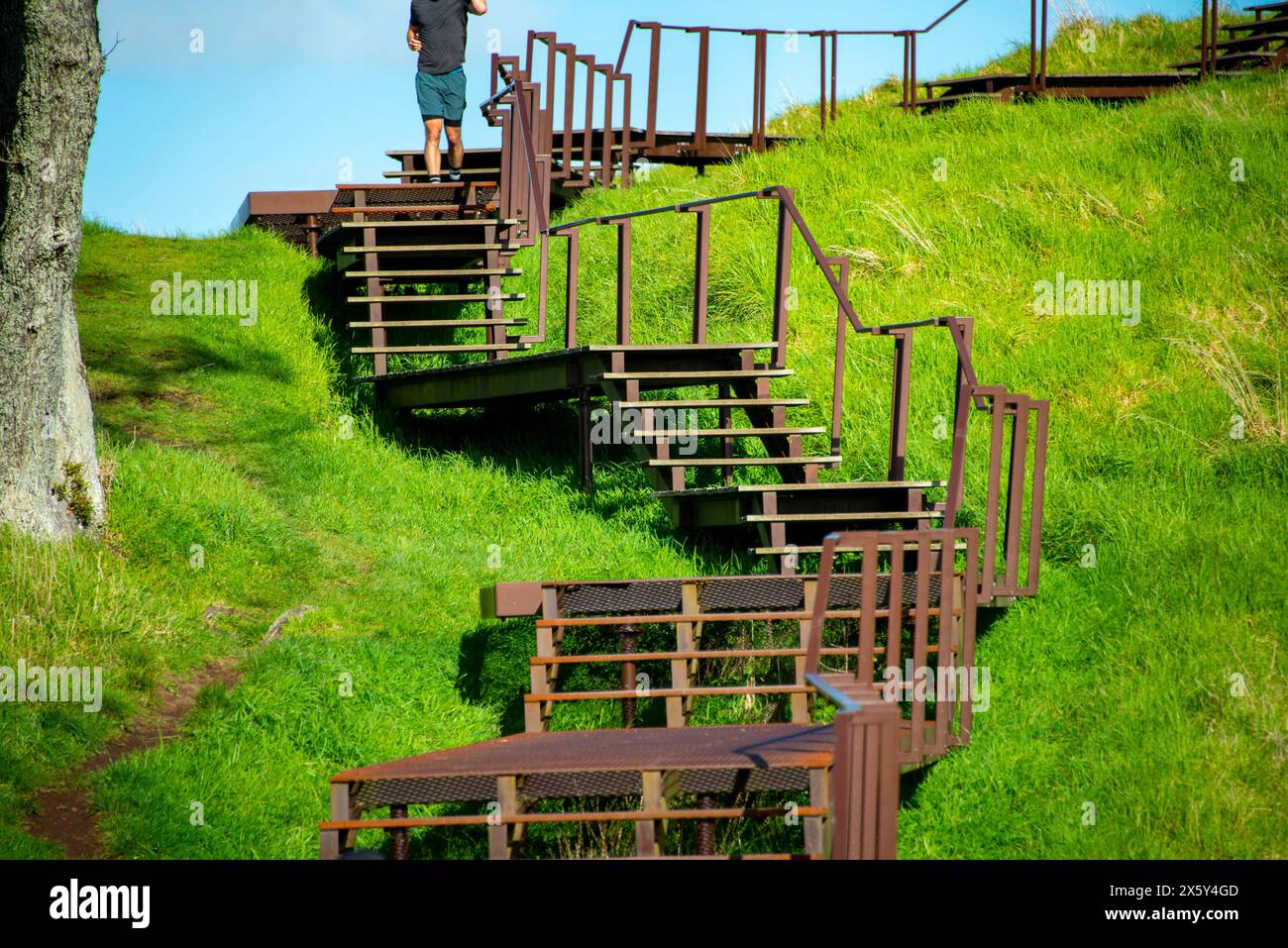 Sentiero escursionistico del Monte Eden - Auckland - nuova Zelanda Foto Stock