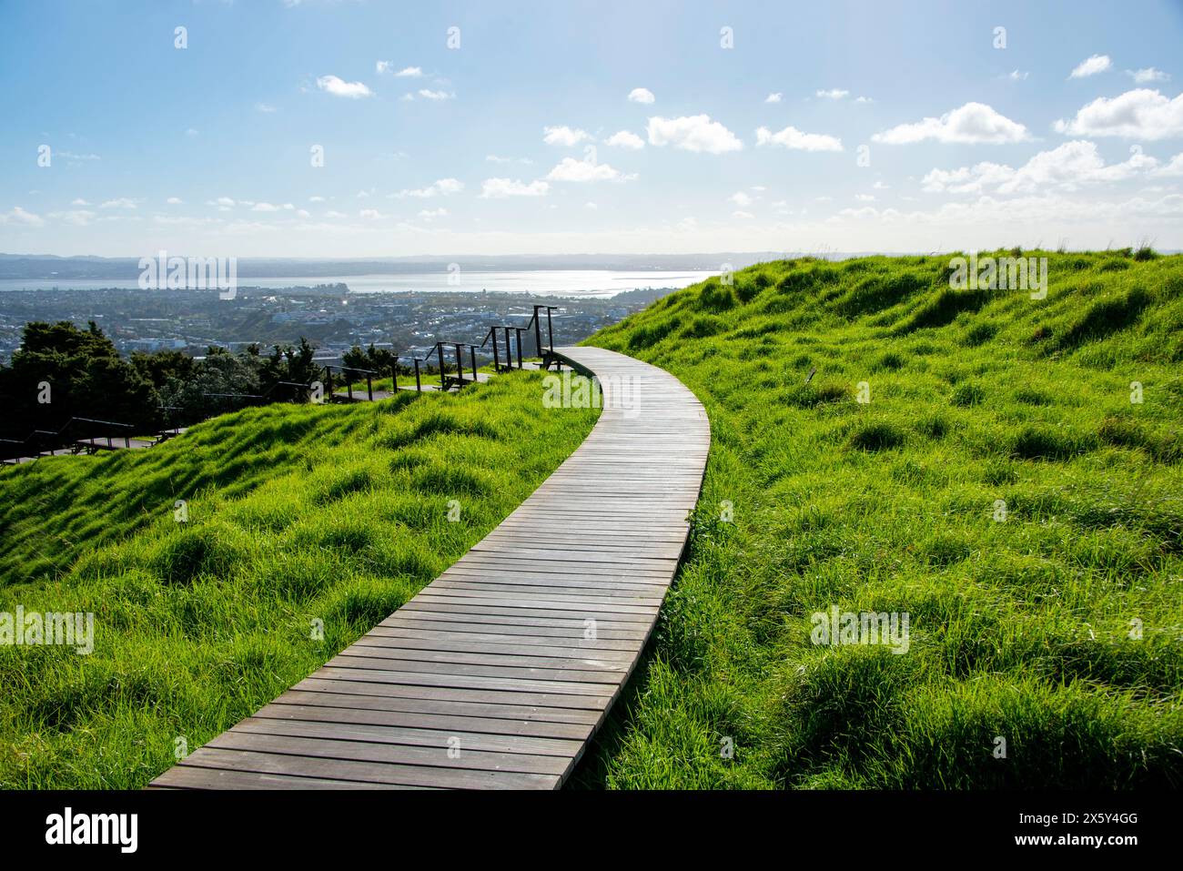 Sentiero escursionistico del Monte Eden - Auckland - nuova Zelanda Foto Stock