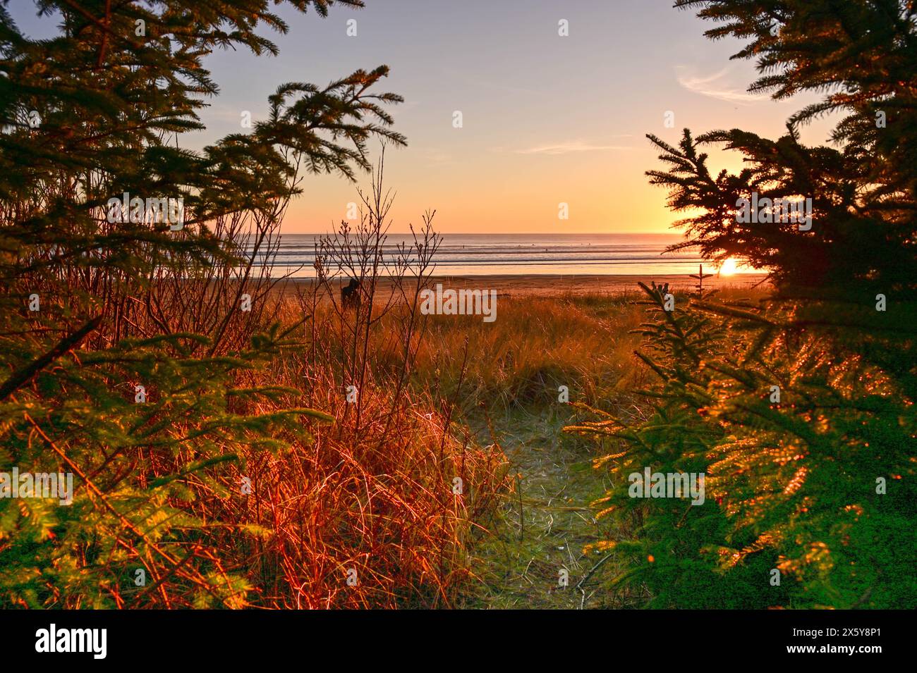 Splendido tramonto a Hobuck Beach, Neah Bay, Washington Foto Stock