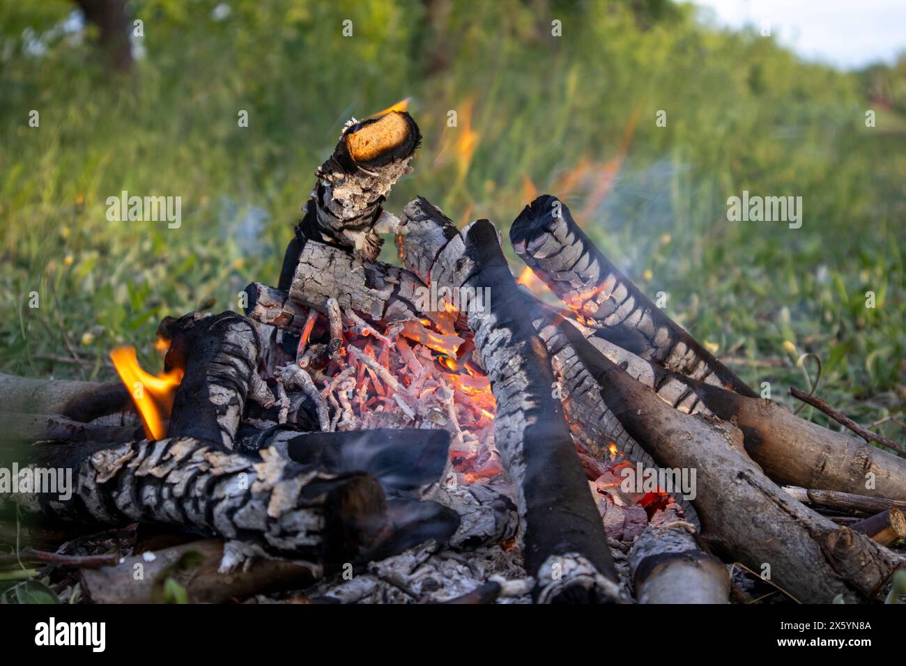 Fuoco rustico con un pezzo di pane che tosta su un bastoncino tra le brace scintillanti in un ambiente naturale Foto Stock