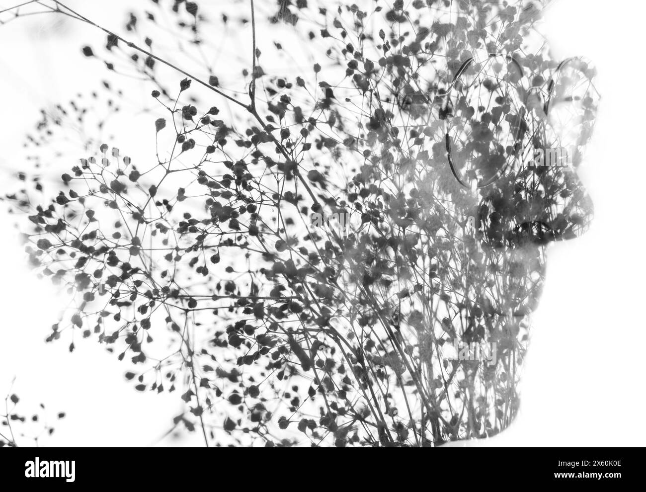 Silhouette trasparente a doppia esposizione di un uomo con occhiali Foto Stock