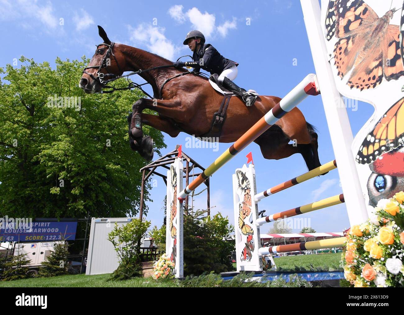 Badminton Estate, Gloucestershire, Regno Unito. 12 maggio 2024. 2024 MARS Badminton Horse Trials 5° giorno; Louise Harwood (GBR) cavalcando SPIRITO NATIVO durante lo spettacolo saltando il 5° giorno credito: Action Plus Sports/Alamy Live News Foto Stock