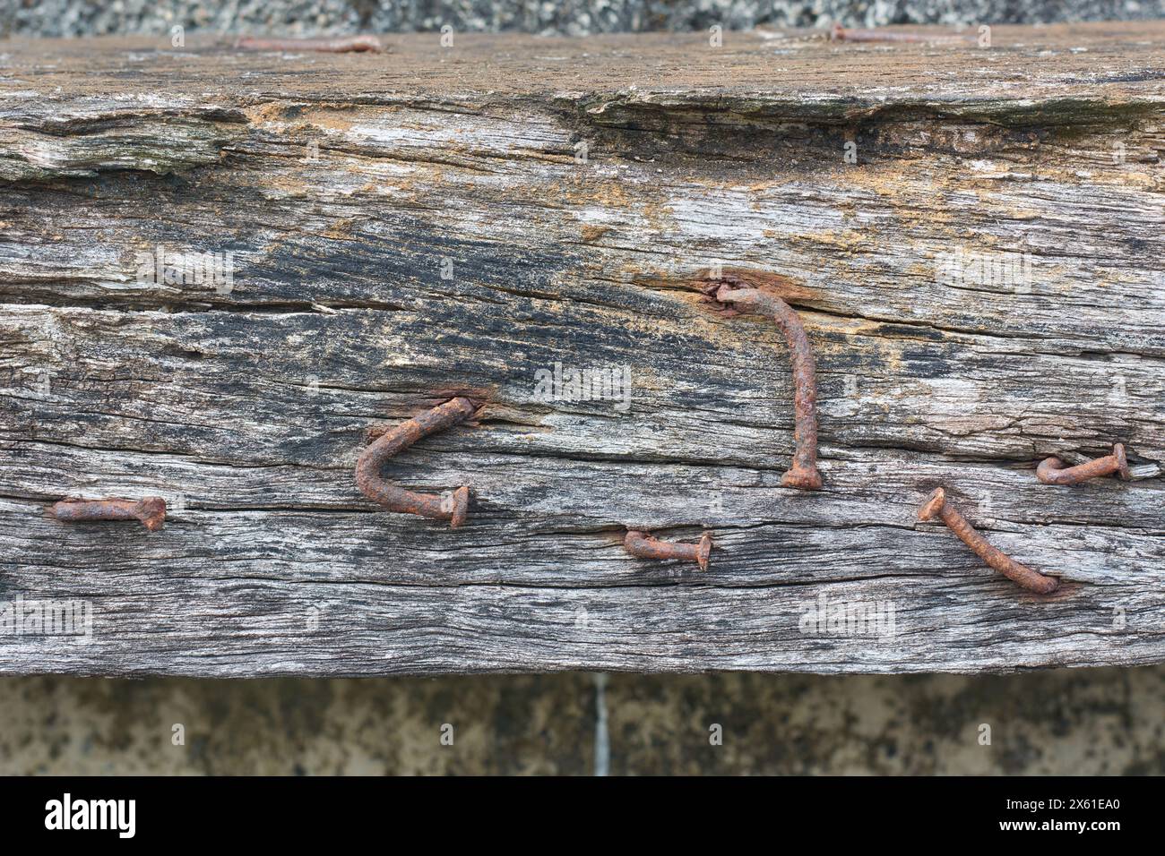 primo piano di vecchi chiodi arrugginiti su tavole di legno sporche, chiodi in ferro o acciaio invecchiati esposti all'umidità e adagiati in piano con spazio di copia Foto Stock