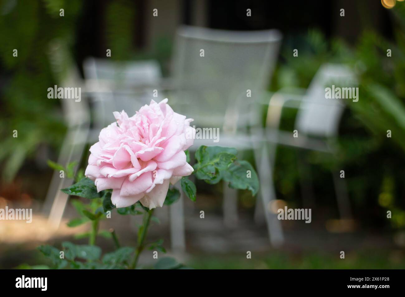 Posti a sedere in giardino in un caffè concetto di rilassante foto di scorta Foto Stock