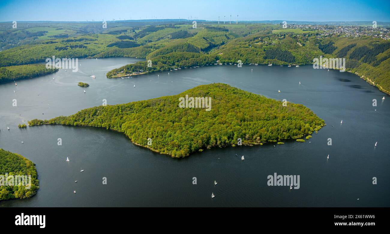 Luftbild, Rursee mit Insel Eichert, Rurtalsperre Schwammenauel und Rursee-Schifffahrt mit Segelbooten, Waldgebiet Hügel und Täler, Nationalpark Eifel, Hasenfeld, Heimbach, Nordrhein-Westfalen, Deutschland ACHTUNGxMINDESTHONORARx60xEURO *** Vista aerea, Rursee con isola Eichert, diga di Rur Schwammenauel e Rursee navigazione con barche a vela, colline e vallate forestali, Parco Nazionale Eifel, Hasenfeld, Heimbach, Renania settentrionale-Vestfalia, Germania ATTENTIONxMINDESTHONORARx60xEURO Foto Stock Luftbild, Rursee mit Insel Eichert, Rurtalsperre Schwammenauel und Rursee-Schifffahrt mit Segelbooten, Waldgebiet Hügel und Täler, Nationalpark Eifel, Hasenfeld, Heimbach, Nordrhein-Westfalen, Deutschland ACHTUNGxMINDESTHONORARx60xEURO *** Vista aerea, Rursee con isola Eichert, diga di Rur Schwammenauel e Rursee navigazione con barche a vela, colline e vallate forestali, Parco Nazionale Eifel, Hasenfeld, Heimbach, Renania settentrionale-Vestfalia, Germania ATTENTIONxMINDESTHONORARx60xEURO Foto Stock
