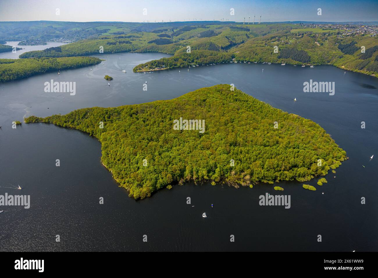 Luftbild, Rursee mit Insel Eichert, Rurtalsperre Schwammenauel und Rursee-Schifffahrt mit Segelbooten, Waldgebiet Hügel und Täler, Nationalpark Eifel, Hasenfeld, Heimbach, Nordrhein-Westfalen, Deutschland ACHTUNGxMINDESTHONORARx60xEURO *** Vista aerea, Rursee con isola Eichert, diga di Rur Schwammenauel e Rursee navigazione con barche a vela, colline e vallate forestali, Parco Nazionale Eifel, Hasenfeld, Heimbach, Renania settentrionale-Vestfalia, Germania ATTENTIONxMINDESTHONORARx60xEURO Foto Stock Luftbild, Rursee mit Insel Eichert, Rurtalsperre Schwammenauel und Rursee-Schifffahrt mit Segelbooten, Waldgebiet Hügel und Täler, Nationalpark Eifel, Hasenfeld, Heimbach, Nordrhein-Westfalen, Deutschland ACHTUNGxMINDESTHONORARx60xEURO *** Vista aerea, Rursee con isola Eichert, diga di Rur Schwammenauel e Rursee navigazione con barche a vela, colline e vallate forestali, Parco Nazionale Eifel, Hasenfeld, Heimbach, Renania settentrionale-Vestfalia, Germania ATTENTIONxMINDESTHONORARx60xEURO Foto Stock