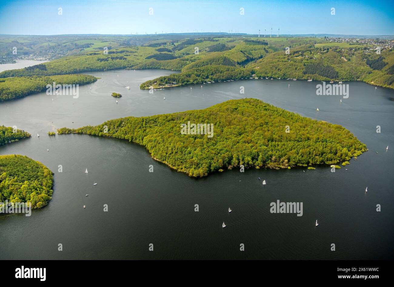 Luftbild, Rursee mit Insel Eichert, Rurtalsperre Schwammenauel und Rursee-Schifffahrt mit Segelbooten, Waldgebiet Hügel und Täler, Nationalpark Eifel, Hasenfeld, Heimbach, Nordrhein-Westfalen, Deutschland ACHTUNGxMINDESTHONORARx60xEURO *** Vista aerea, Rursee con isola Eichert, diga di Rur Schwammenauel e Rursee navigazione con barche a vela, colline e vallate forestali, Parco Nazionale Eifel, Hasenfeld, Heimbach, Renania settentrionale-Vestfalia, Germania ATTENTIONxMINDESTHONORARx60xEURO Foto Stock Luftbild, Rursee mit Insel Eichert, Rurtalsperre Schwammenauel und Rursee-Schifffahrt mit Segelbooten, Waldgebiet Hügel und Täler, Nationalpark Eifel, Hasenfeld, Heimbach, Nordrhein-Westfalen, Deutschland ACHTUNGxMINDESTHONORARx60xEURO *** Vista aerea, Rursee con isola Eichert, diga di Rur Schwammenauel e Rursee navigazione con barche a vela, colline e vallate forestali, Parco Nazionale Eifel, Hasenfeld, Heimbach, Renania settentrionale-Vestfalia, Germania ATTENTIONxMINDESTHONORARx60xEURO Foto Stock