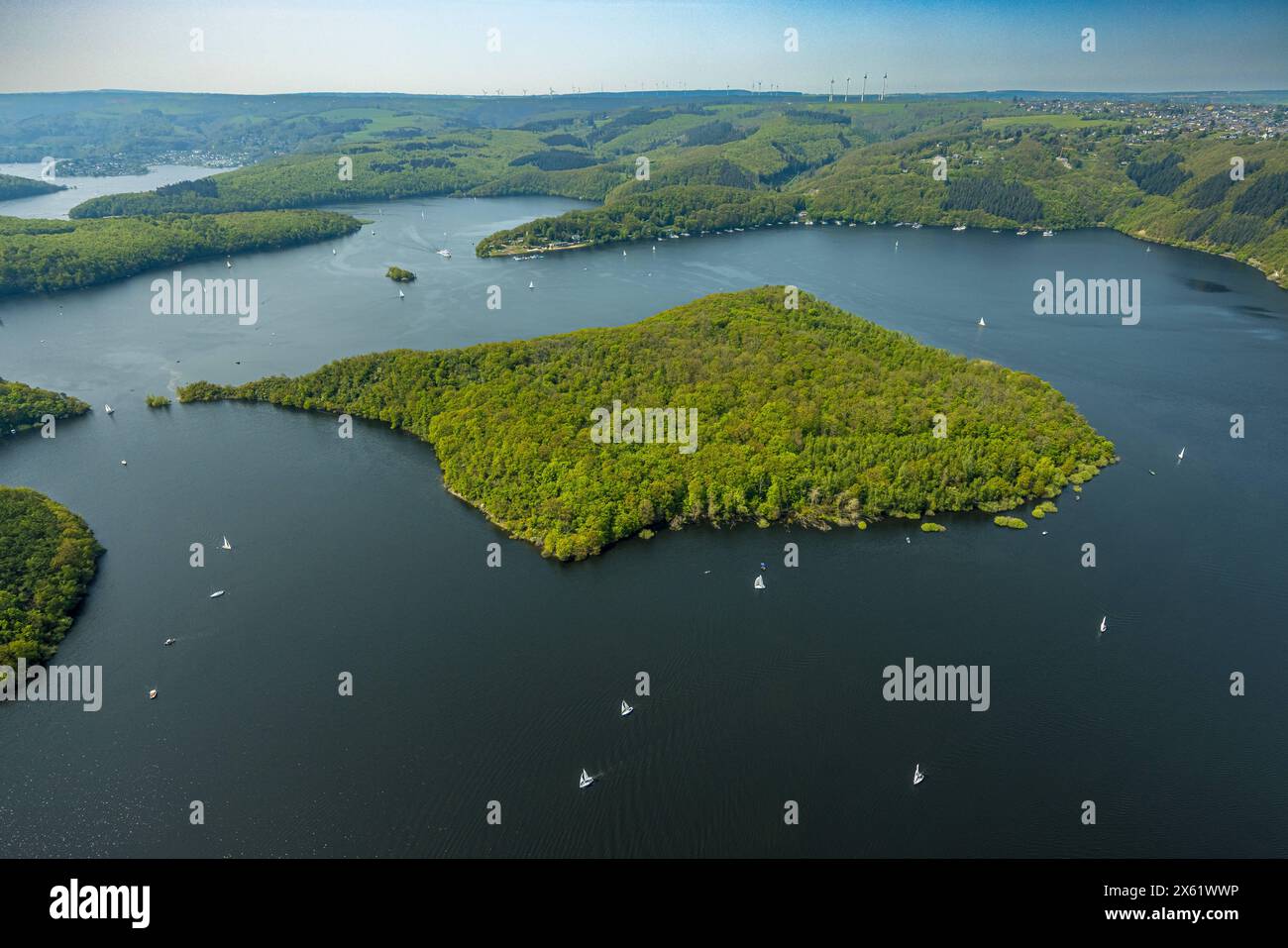 Luftbild, Rursee mit Insel Eichert, Rurtalsperre Schwammenauel und Rursee-Schifffahrt mit Segelbooten, Waldgebiet Hügel und Täler, Nationalpark Eifel, Hasenfeld, Heimbach, Nordrhein-Westfalen, Deutschland ACHTUNGxMINDESTHONORARx60xEURO *** Vista aerea, Rursee con isola Eichert, diga di Rur Schwammenauel e Rursee navigazione con barche a vela, colline e vallate forestali, Parco Nazionale Eifel, Hasenfeld, Heimbach, Renania settentrionale-Vestfalia, Germania ATTENTIONxMINDESTHONORARx60xEURO Foto Stock