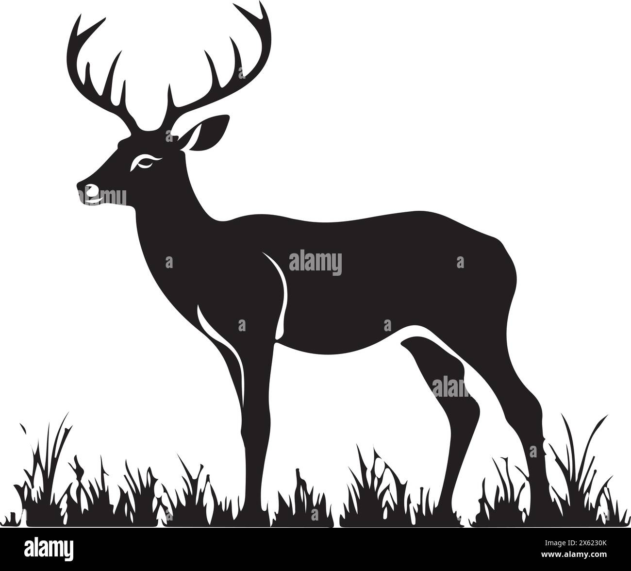 Un cervo è in piedi sul campo Illustrazione Vettoriale