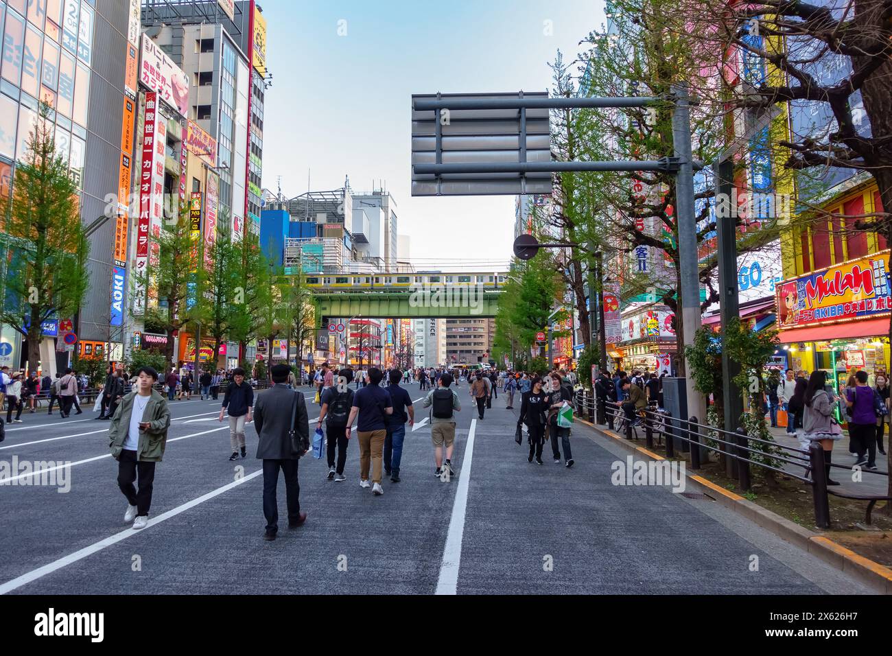 Tokyo, Giappone, 14 aprile 2024: Turisti che camminano per le strade di Akihabara in una domenica senza auto Foto Stock