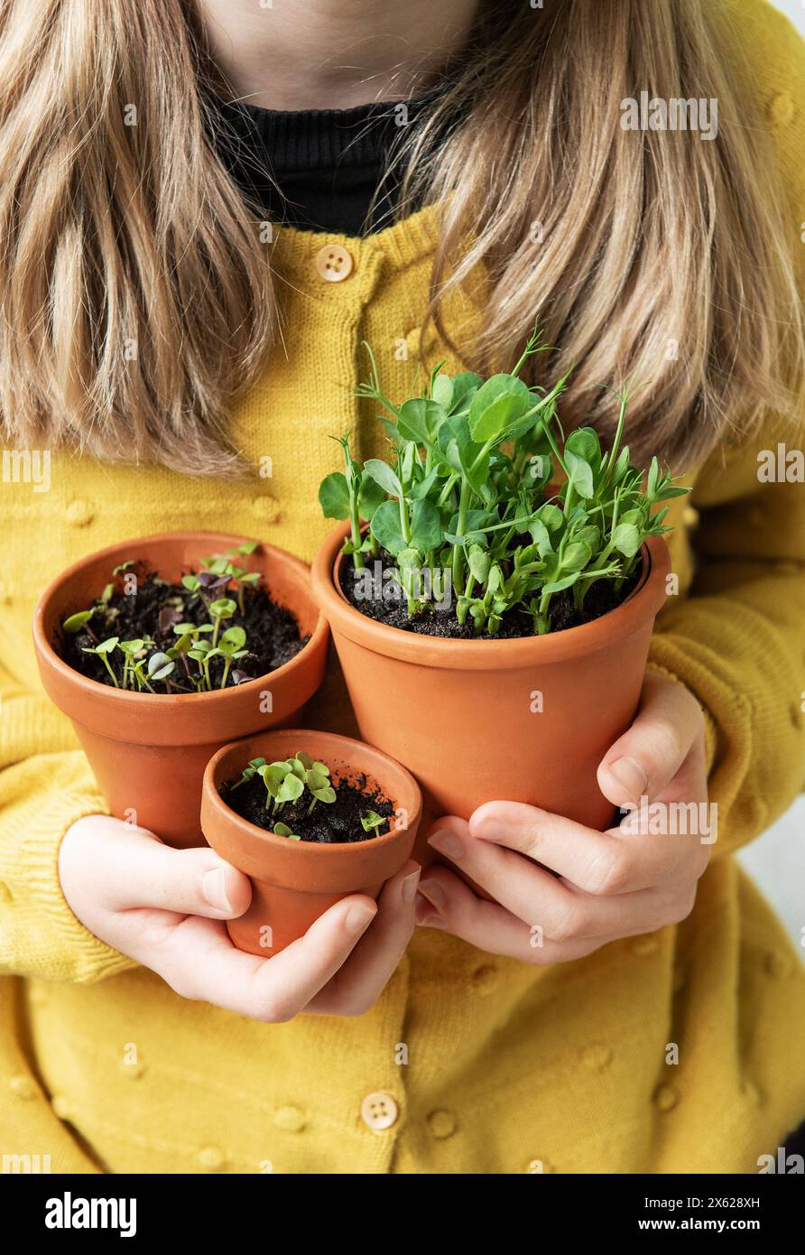 Una vista ravvicinata di una bambina che tiene in mano tre vasi di terracotta con giovani piante verdi Foto Stock