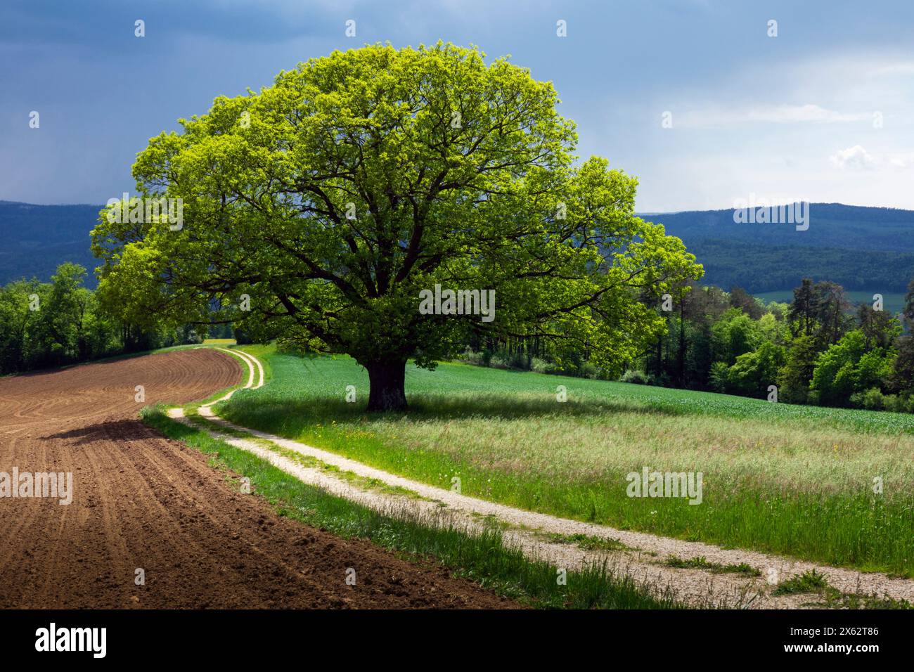 Atmosfera di tempeste a Laufental, vicino a Röschenz BL, in Svizzera, nel Canton Baselland Foto Stock