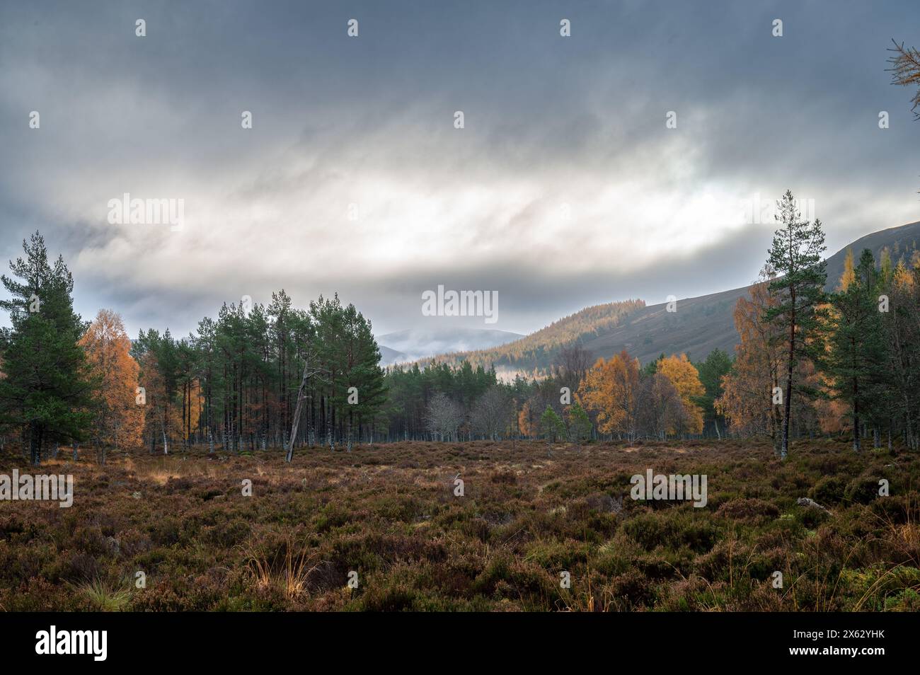 Scenario naturale nelle montagne di Cairgorms in Scozia Foto Stock