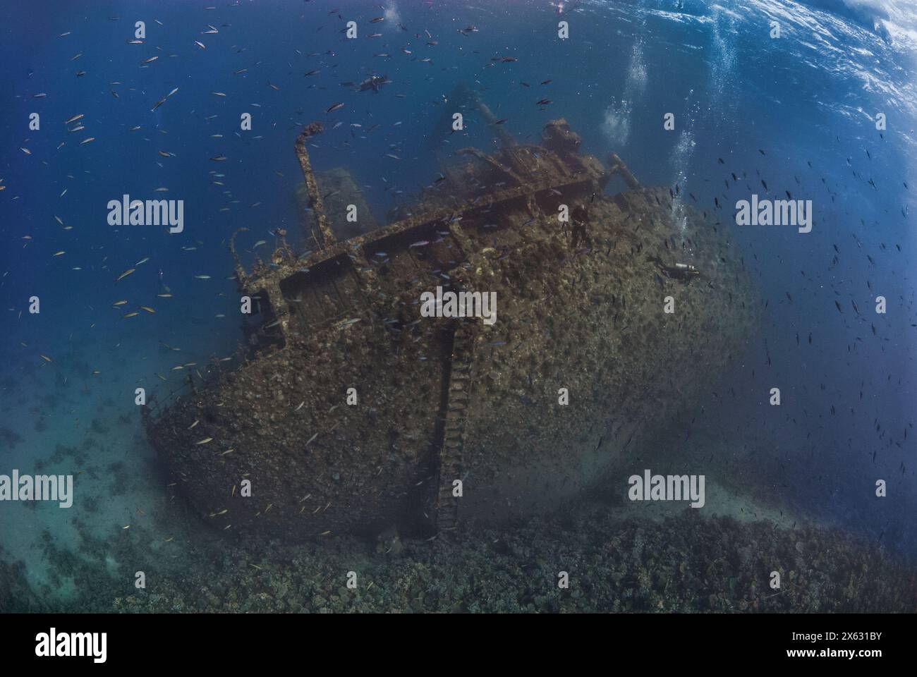 Un relitto dimenticato, ora una barriera corallina piena di pesci, si trova tranquillamente mentre i subacquei esplorano le sue strutture coralline nel mare cristallino Foto Stock