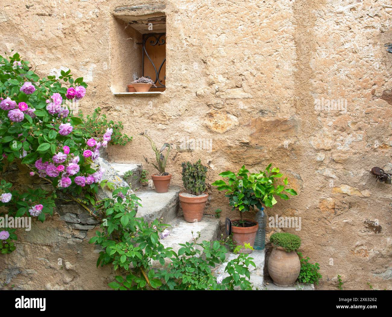 vecchia facciata di casa provenzale con plante che cresce su una scala rocciosa Foto Stock