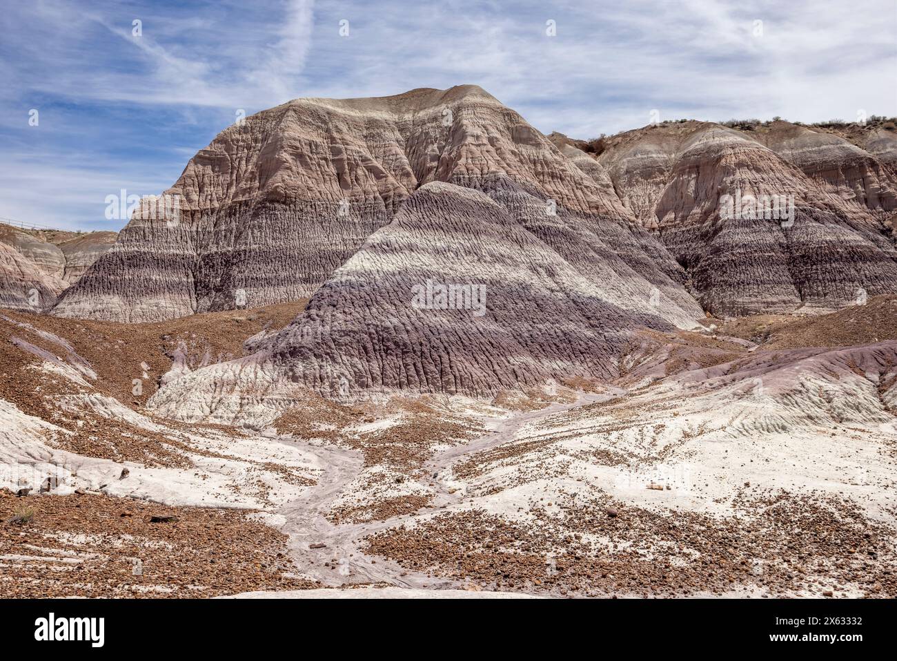 Colline di Badland di argilla bentonite bluastra lungo il percorso Blue Mesa nel Petrified Forest National Park, Arizona, USA, il 18 aprile 2024. Foto Stock