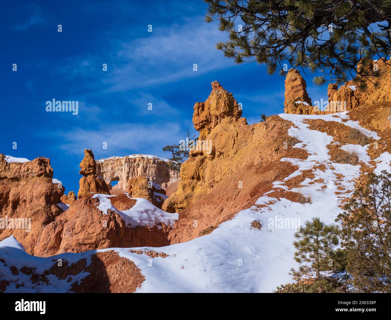 Bryce Amphitheater dal Queen's Garden Trail, inverno, Bryce Canyon National Park, Utah. Foto Stock