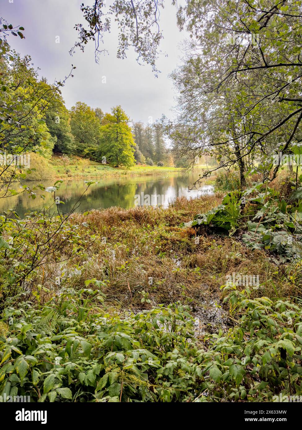 Vista sul lago dello Yorkshire Arboretum in un giorno d'estate coperto. Foto Stock