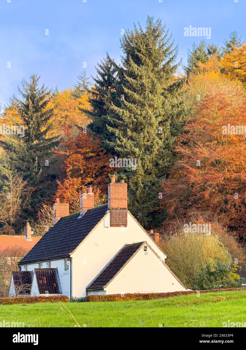 Cottage bianco, accoccolato su una collina in primo piano con lo sfondo color autunno della foresta di Dalby. North Yorkshire, Regno Unito Foto Stock