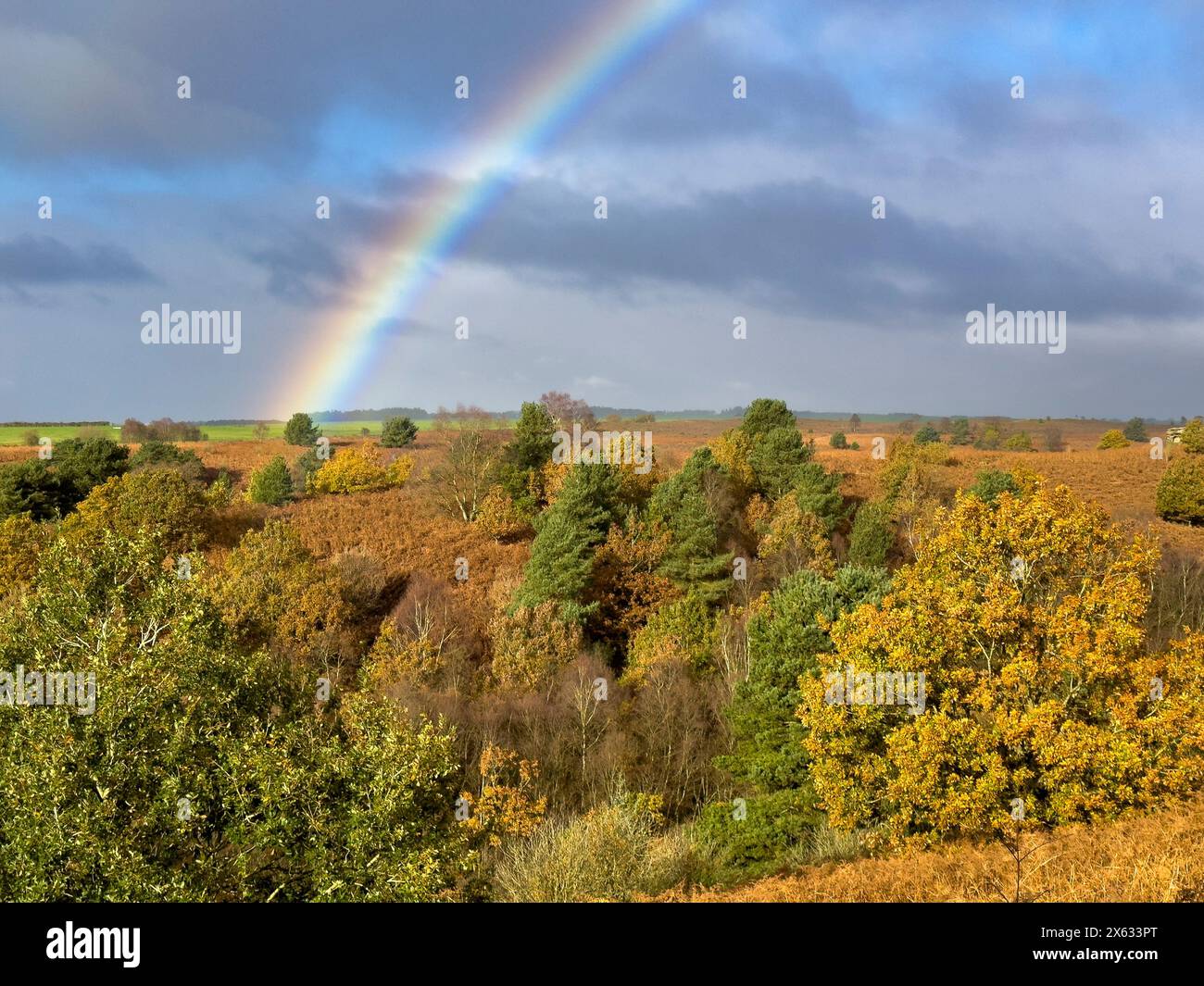 Vista dalla riserva naturale Bridestones nella foresta di Dalby, con un arcobaleno in lontananza. North Yorkshire. REGNO UNITO Foto Stock