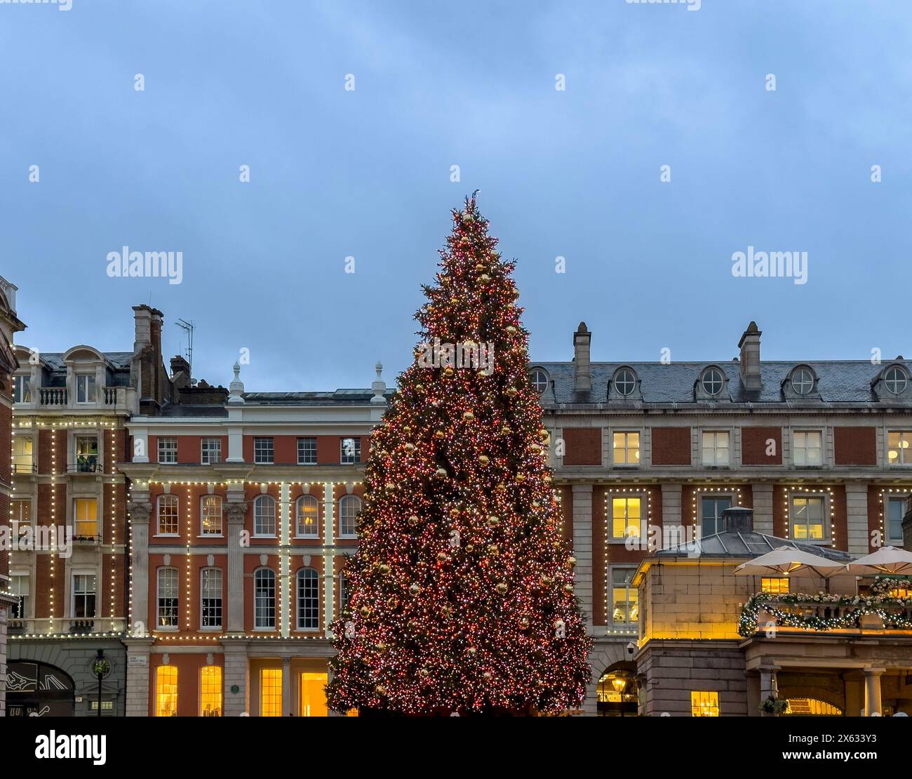 Albero di Natale al Covent Garden, al crepuscolo. Londra. Foto Stock
