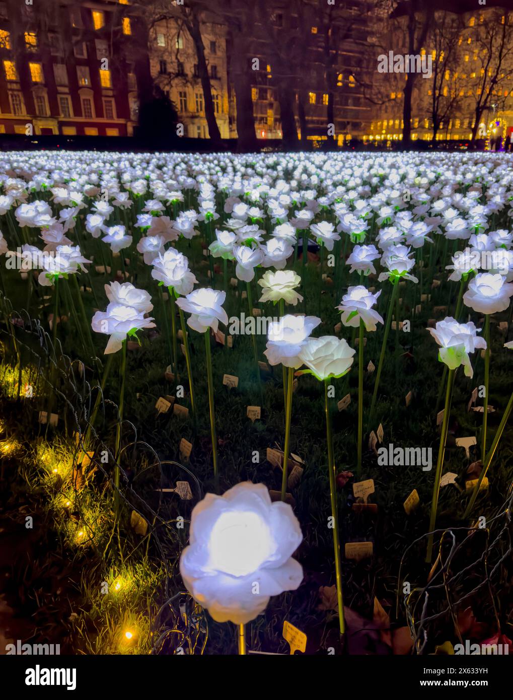 Rose finte bianche illuminate nel giardino Ever After di Piazza Grosvenor. Londra. Foto Stock