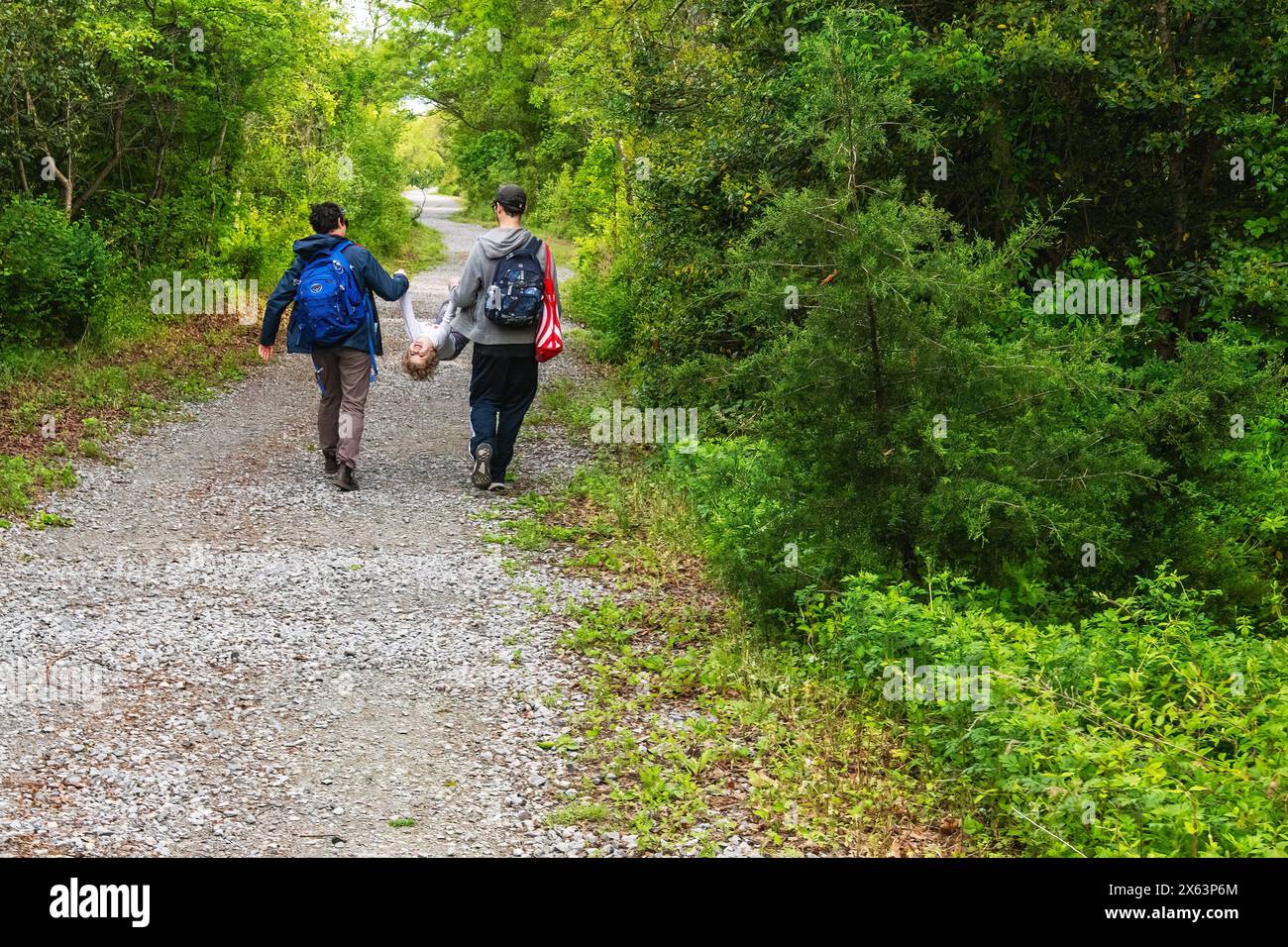 Passeggiata di primavera Foto Stock