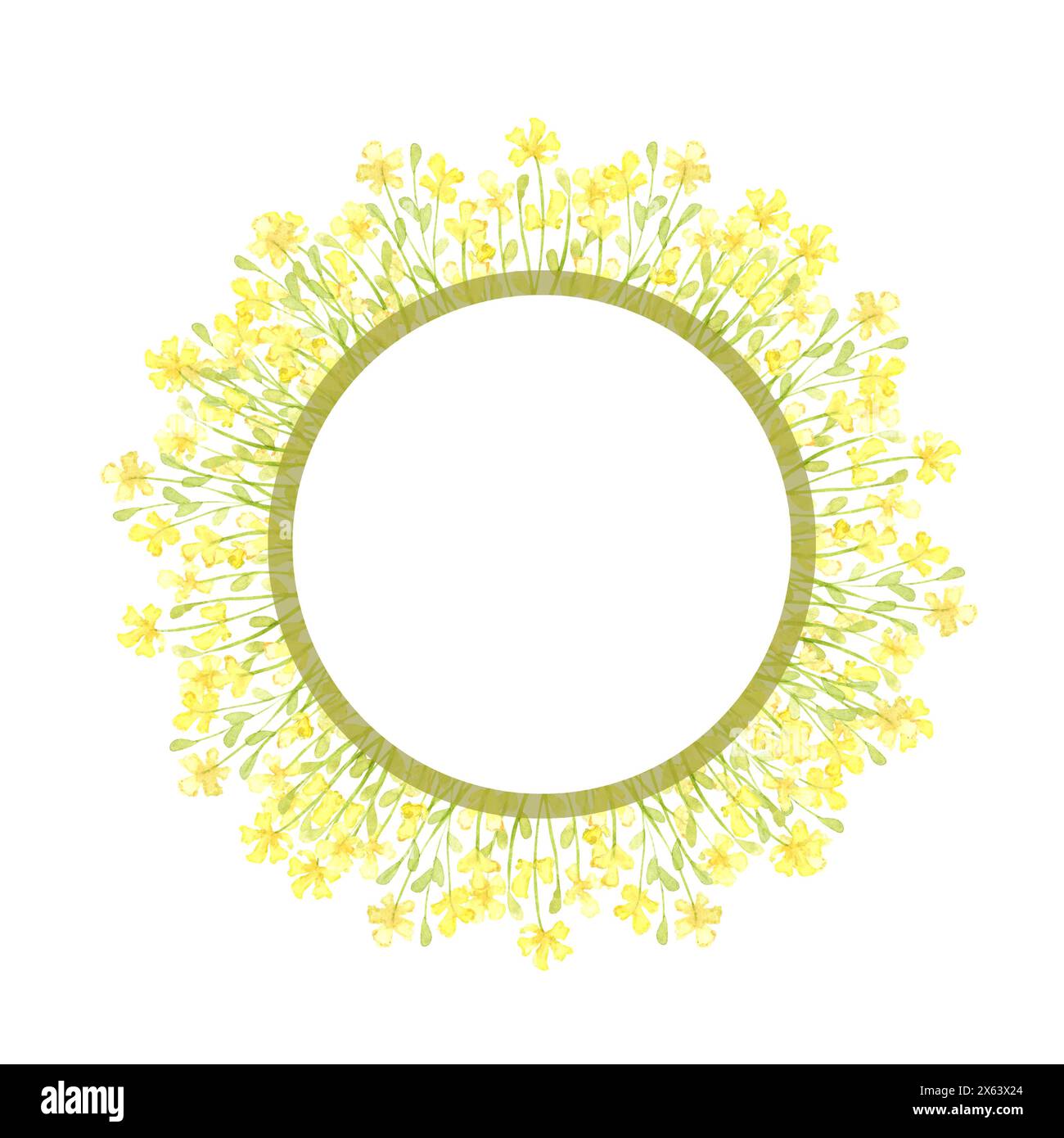 Fiori gialli telaio campo piccolo acquerello della corona. Prato estivo con stampa floreale e fiori selvatici. Isolato dallo sfondo. Per de Foto Stock