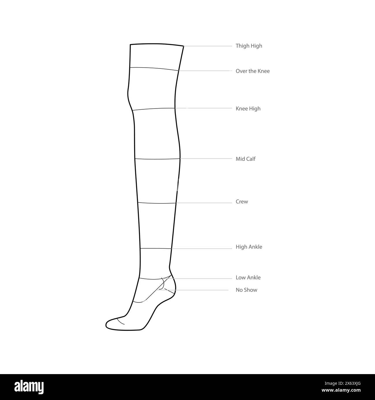Diagrammi della lunghezza del calzino con nomi di testo. Calze per accessori moda moda abbigliamento illustrazioni tecniche. Vista laterale vettoriale per donne, modello piatto, contorno di schizzo di mockup CAD isolato su bianco Illustrazione Vettoriale
