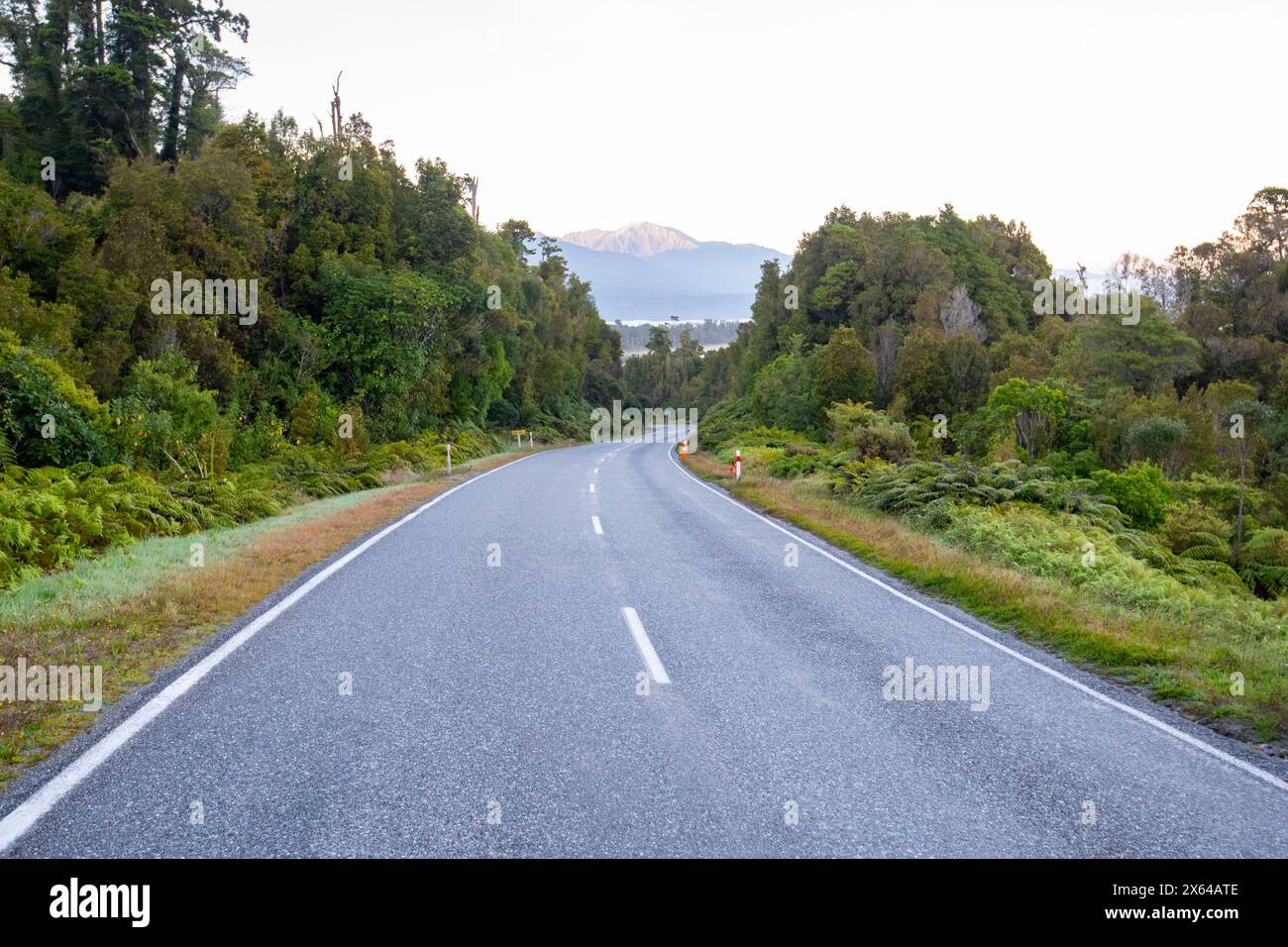 New Zealand State Highway 6 (Haast Pass) Foto Stock