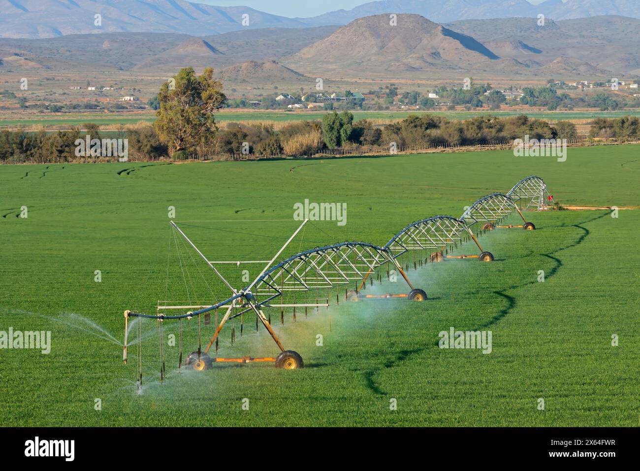 Un sistema di irrigazione a perno centrale su colture verdi lussureggianti, Sudafrica Foto Stock