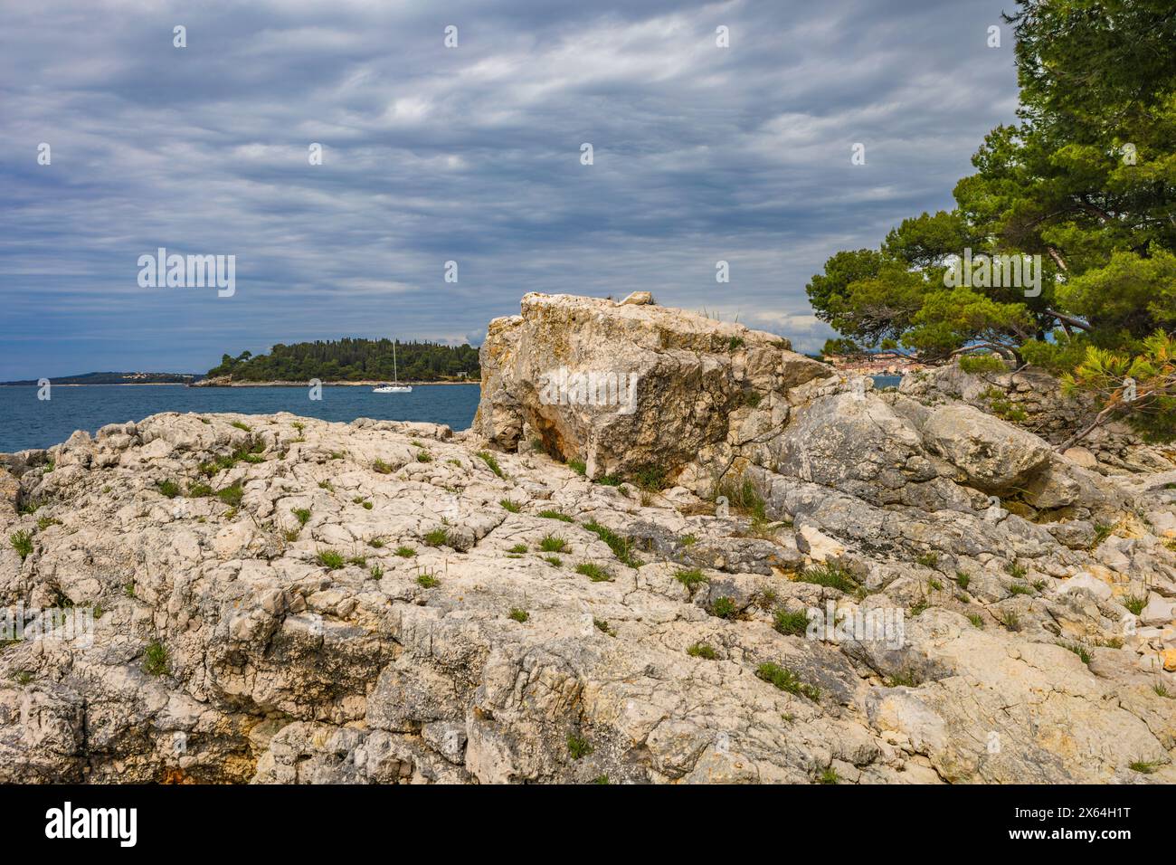 Riposa sul mare Adriatico, weekend di maggio in Croazia, visitando Rovigno sulla penisola istriana Foto Stock