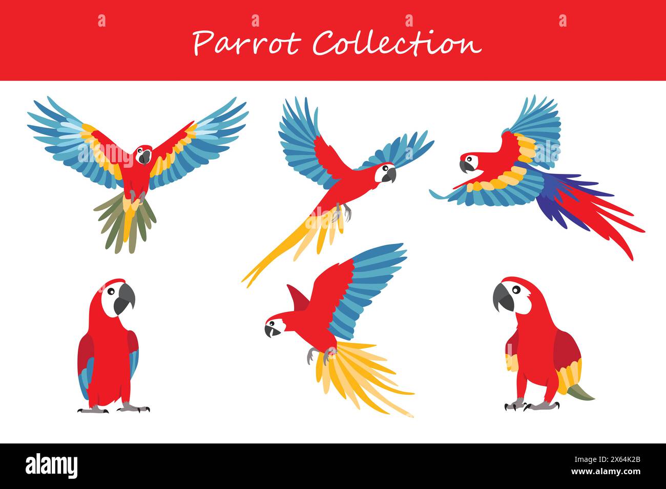 Raccolta dei pappagalli. Pappagallo in pose diverse. Illustrazione vettoriale. Illustrazione Vettoriale