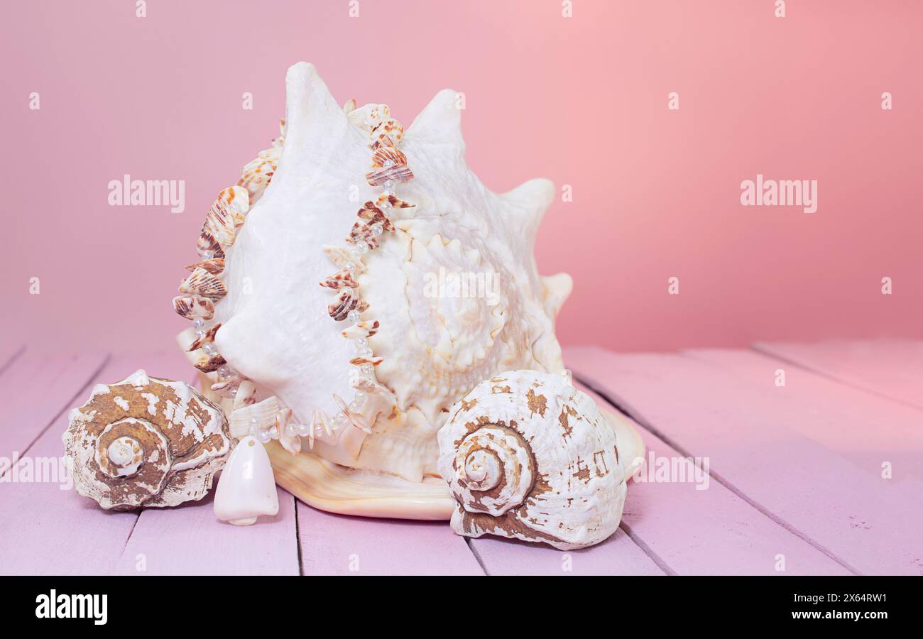 Grandi conchiglie bianche e piccole e perle da spiaggia su sfondo in legno rosa. Vista frontale. Copia spazio Foto Stock