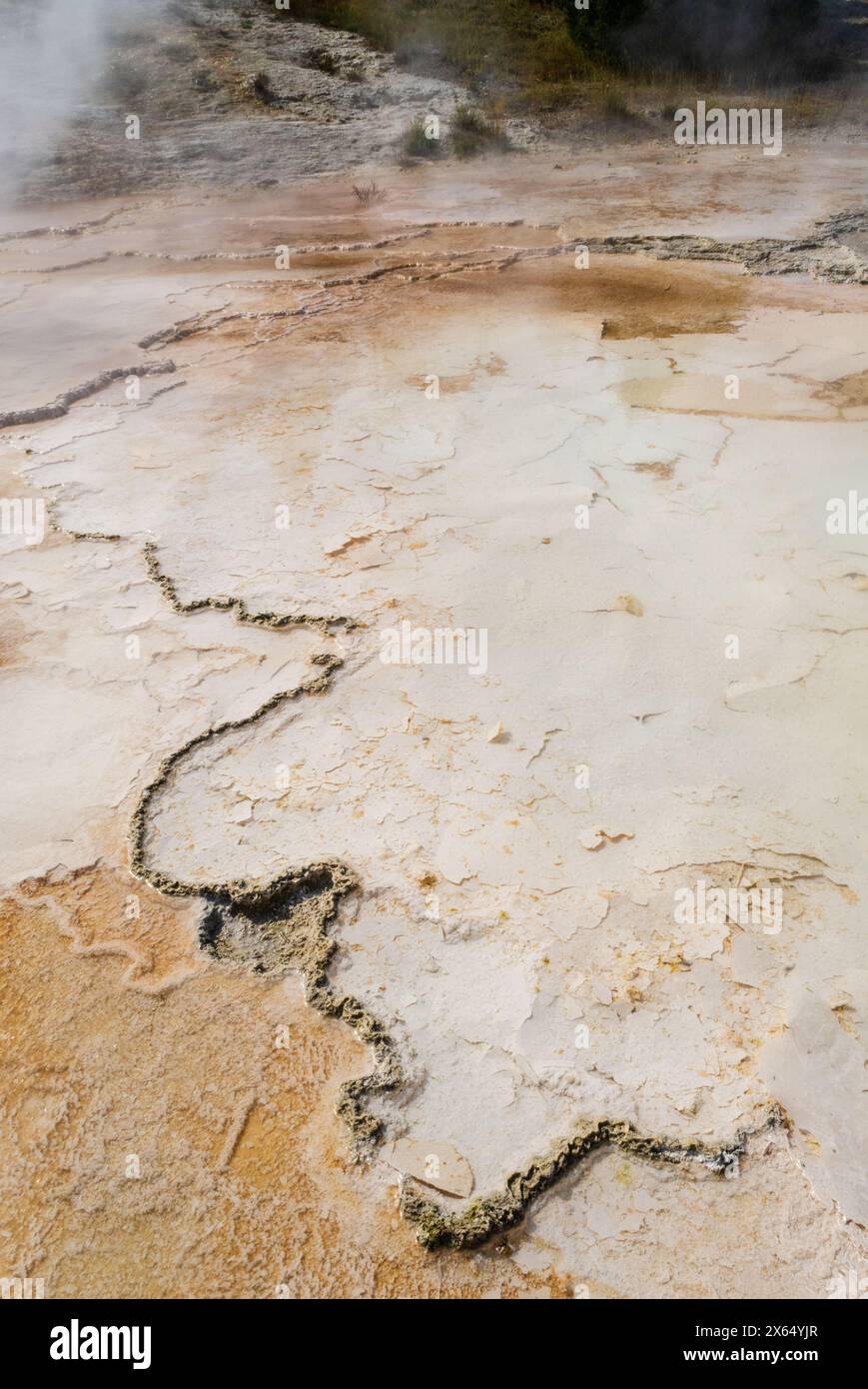 Grand Prismatic Spring al parco nazionale di Yellowstone, Stati Uniti Foto Stock