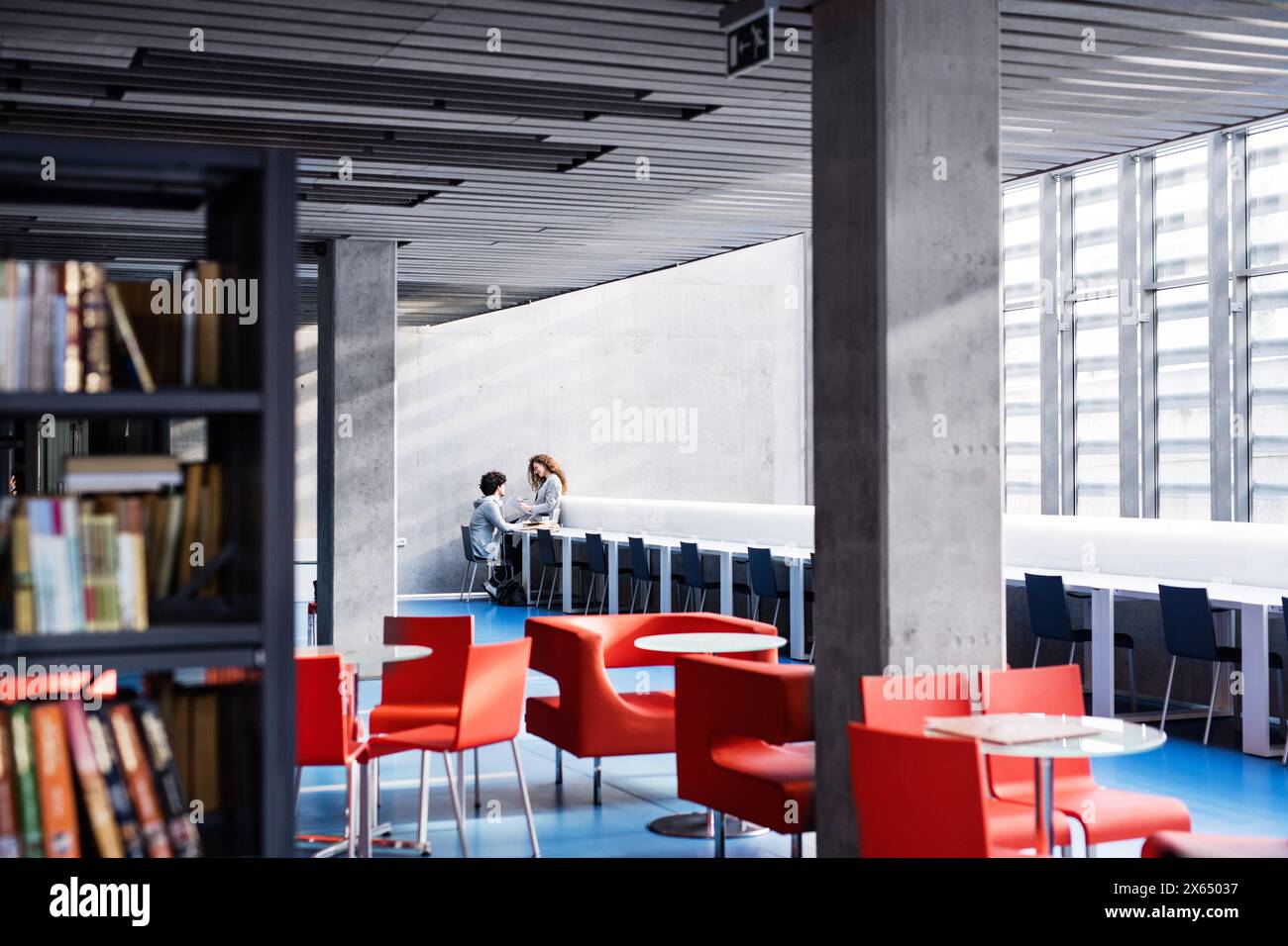 Gruppo di studio. Giovani studenti universitari che studiano togeter in biblioteca, parlano, si preparano per l'esame finale o la presentazione. Capacità di lavoro di squadra. Foto Stock