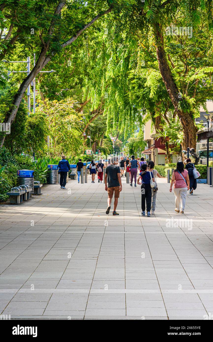 Ampio sentiero pedonale lungo il frondoso albero all'ombra di Orchard Rd a Singapore Foto Stock