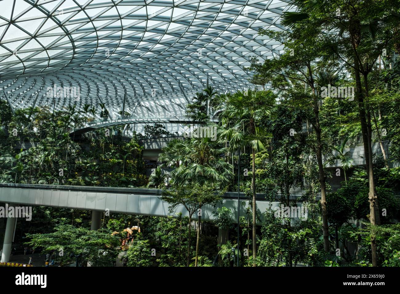 The Rain Vortex, cascata al coperto, aeroporto Jewel Changi, Singapore, Asia Foto Stock