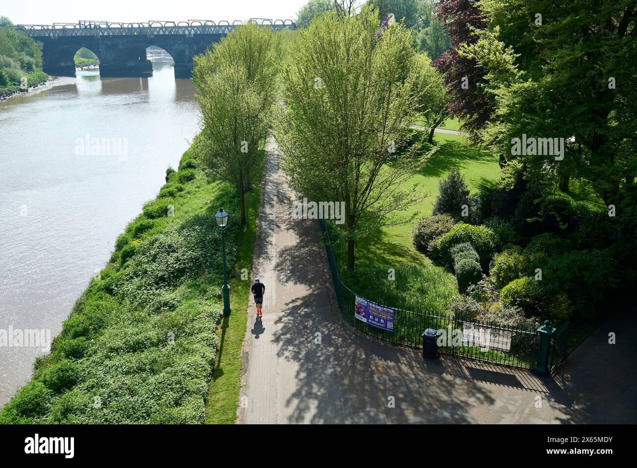 Corre lungo le rive del fiume ribble ad Avenham Park, Prestron, Regno Unito Foto Stock Corre lungo le rive del fiume ribble ad Avenham Park, Prestron, Regno Unito Foto Stock