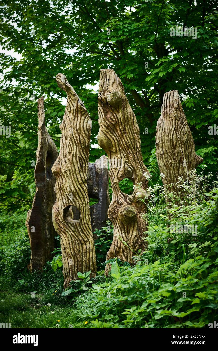 Alberi scolpiti da alberi sulla vecchia linea ferroviaria, Preston, Regno Unito Foto Stock Alberi scolpiti da alberi sulla vecchia linea ferroviaria, Preston, Regno Unito Foto Stock