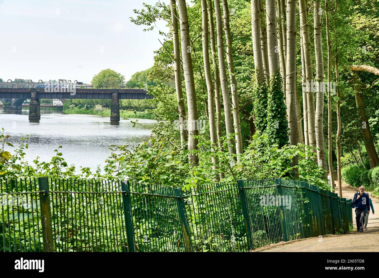 Avenham Park sulle rive del fiume Ribble a Preston, Regno Unito Foto Stock Avenham Park sulle rive del fiume Ribble a Preston, Regno Unito Foto Stock