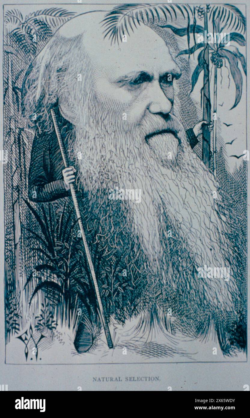 Ritratto a cartoni animati del biologo britannico Charles Darwin dell'artista Frederick Waddy, illustrazione, 1873 Foto Stock
