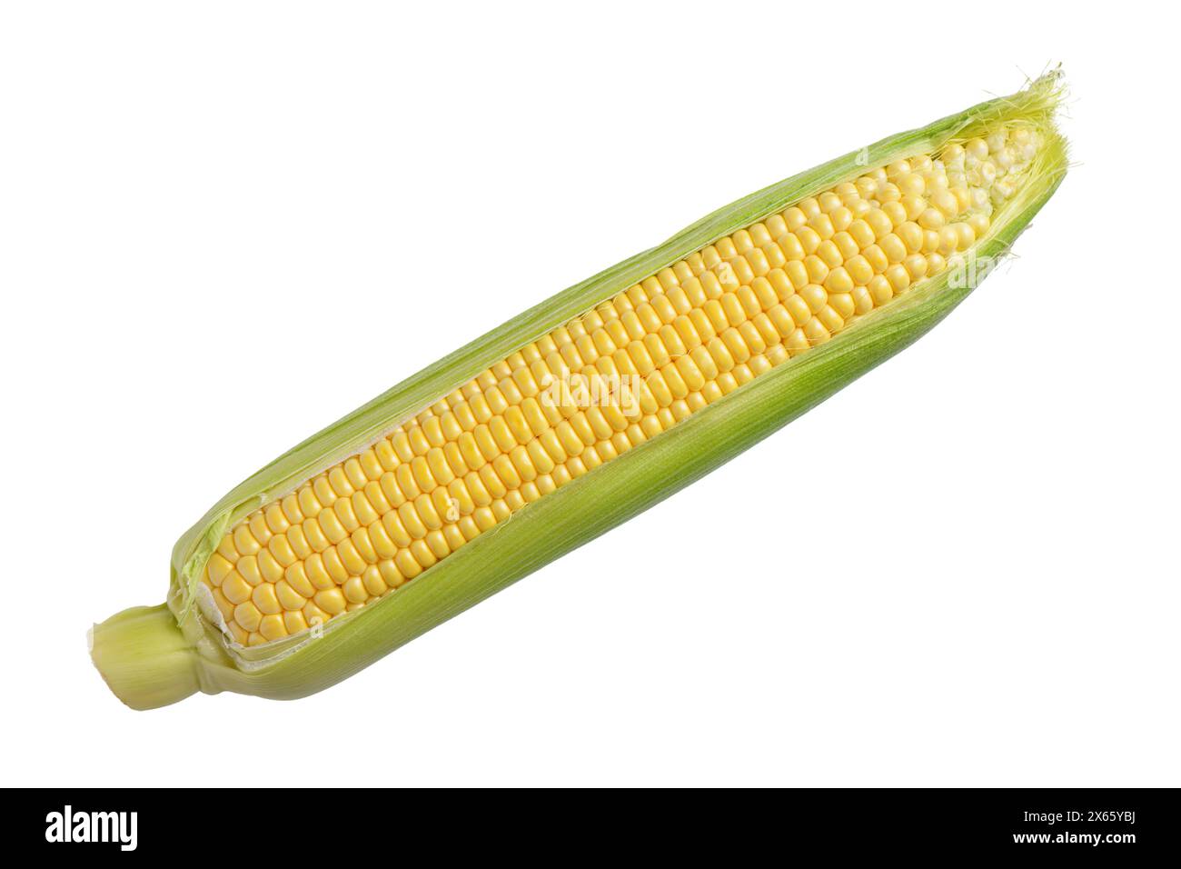 Orecchie di mais giallo fresco con foglie verdi isolate su sfondo bianco. Ingrediente alimentare, elemento di design, fattoria, raccolto, agricoltura. Foto Stock