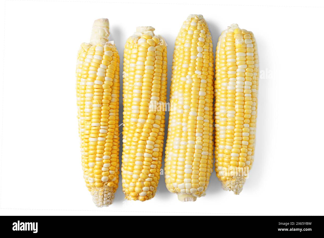 Quattro orecchie gialle fresche sbucciate di mais isolate su sfondo bianco, vista dall'alto. Ingrediente alimentare, elemento di design, fattoria, raccolto, agricoltura. Foto Stock