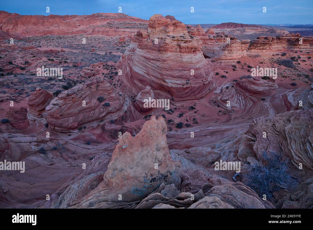 Strane e vorticose formazioni rocciose nel deserto dell'Arizona di Coy Foto Stock