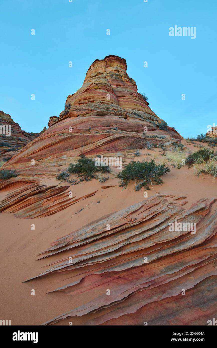 Strane e vorticose formazioni rocciose nel deserto dell'Arizona di Coy Foto Stock