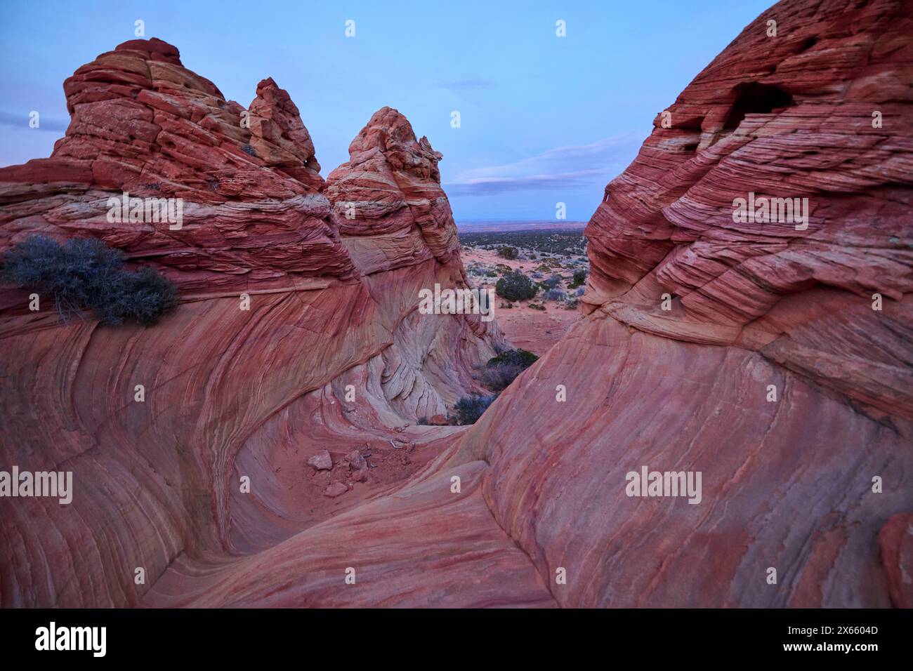 Strane e vorticose formazioni rocciose nel deserto dell'Arizona di Coy Foto Stock