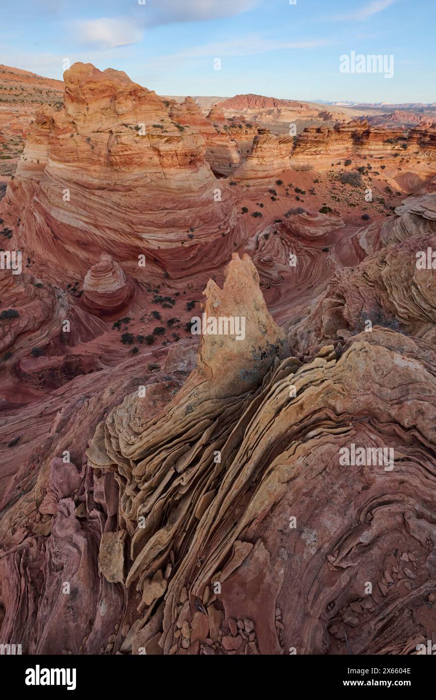 Strane e vorticose formazioni rocciose nel deserto dell'Arizona di Coy Foto Stock